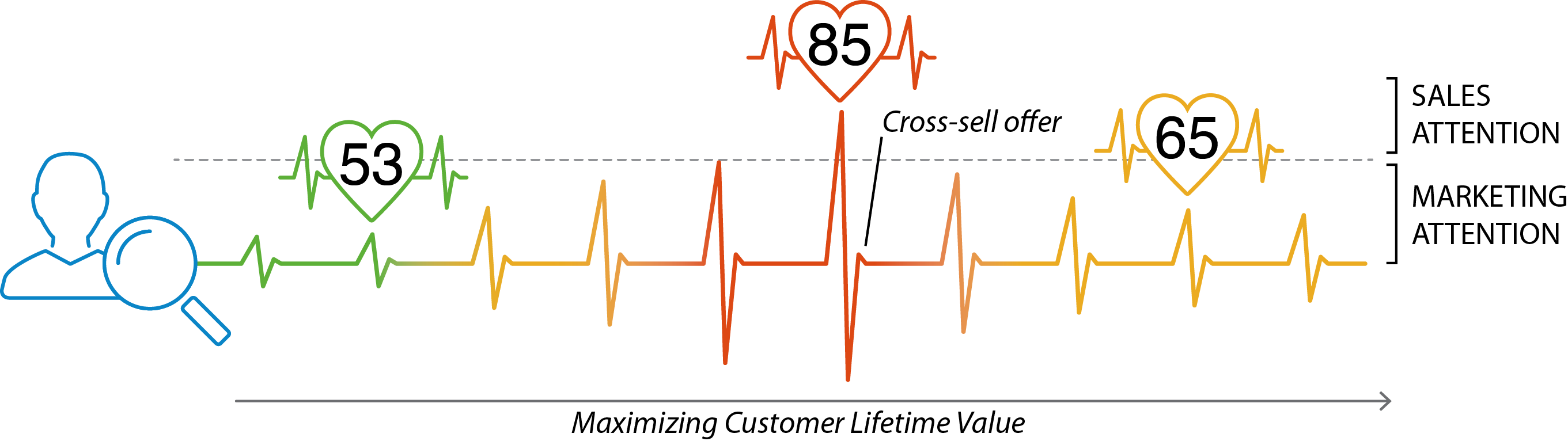 CLV-graphic